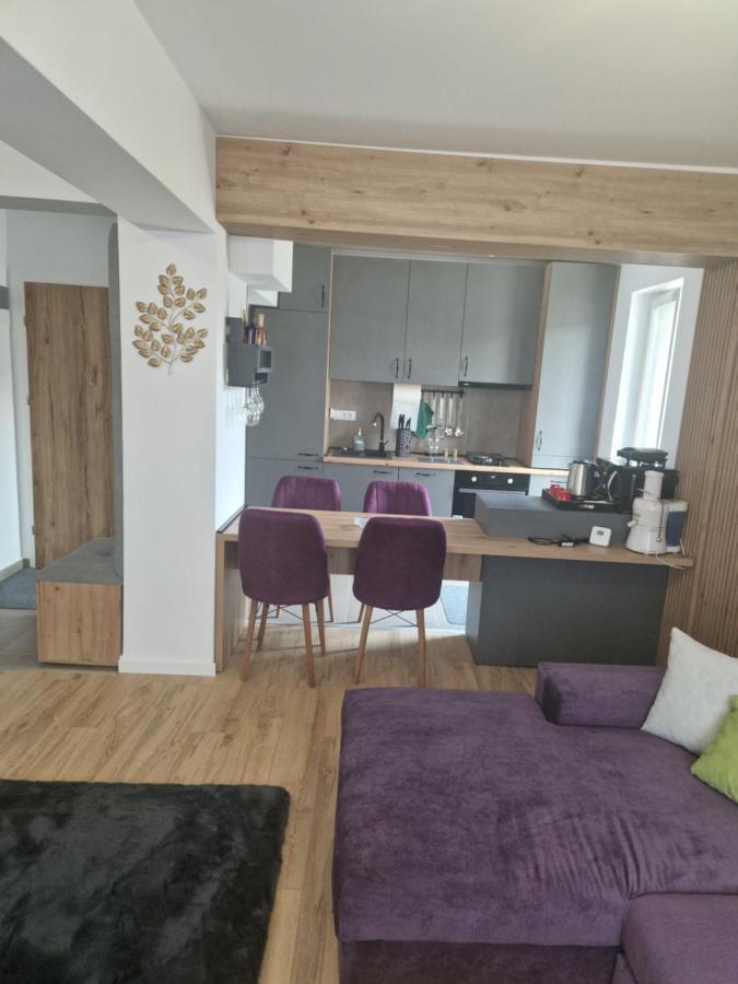 Casa Mov Apartment Брашов Екстериор снимка